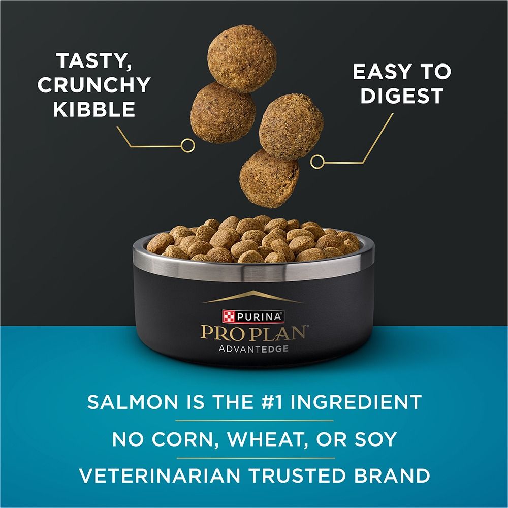 pro-plan-advantedge-digestive-support-dry-dog-food-tasty-salmon_1.jpg
