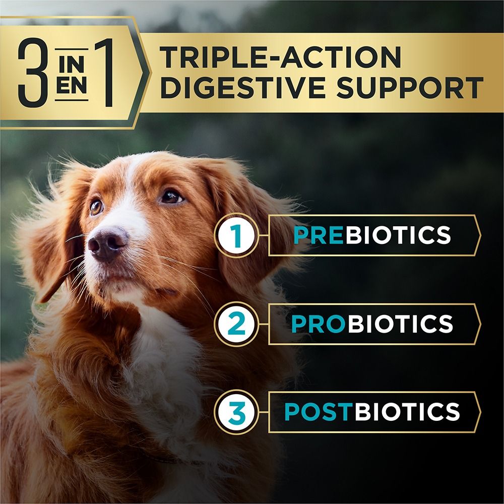 pro-plan-advantedge-digestive-support-dry-dog-food-triple-action_2.jpg
