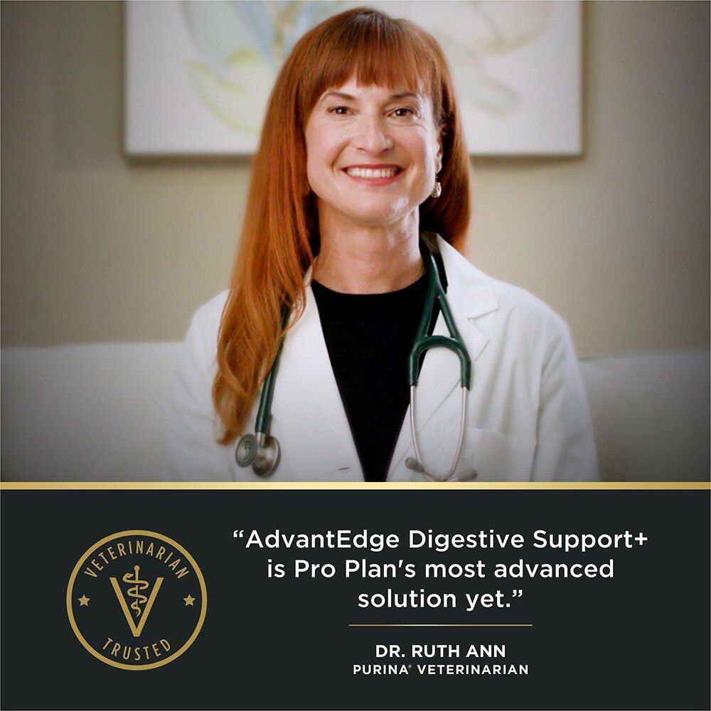 pro-plan-advantedge-digestive-support-dry-food-veterinarian-recommended_3_1.jpg