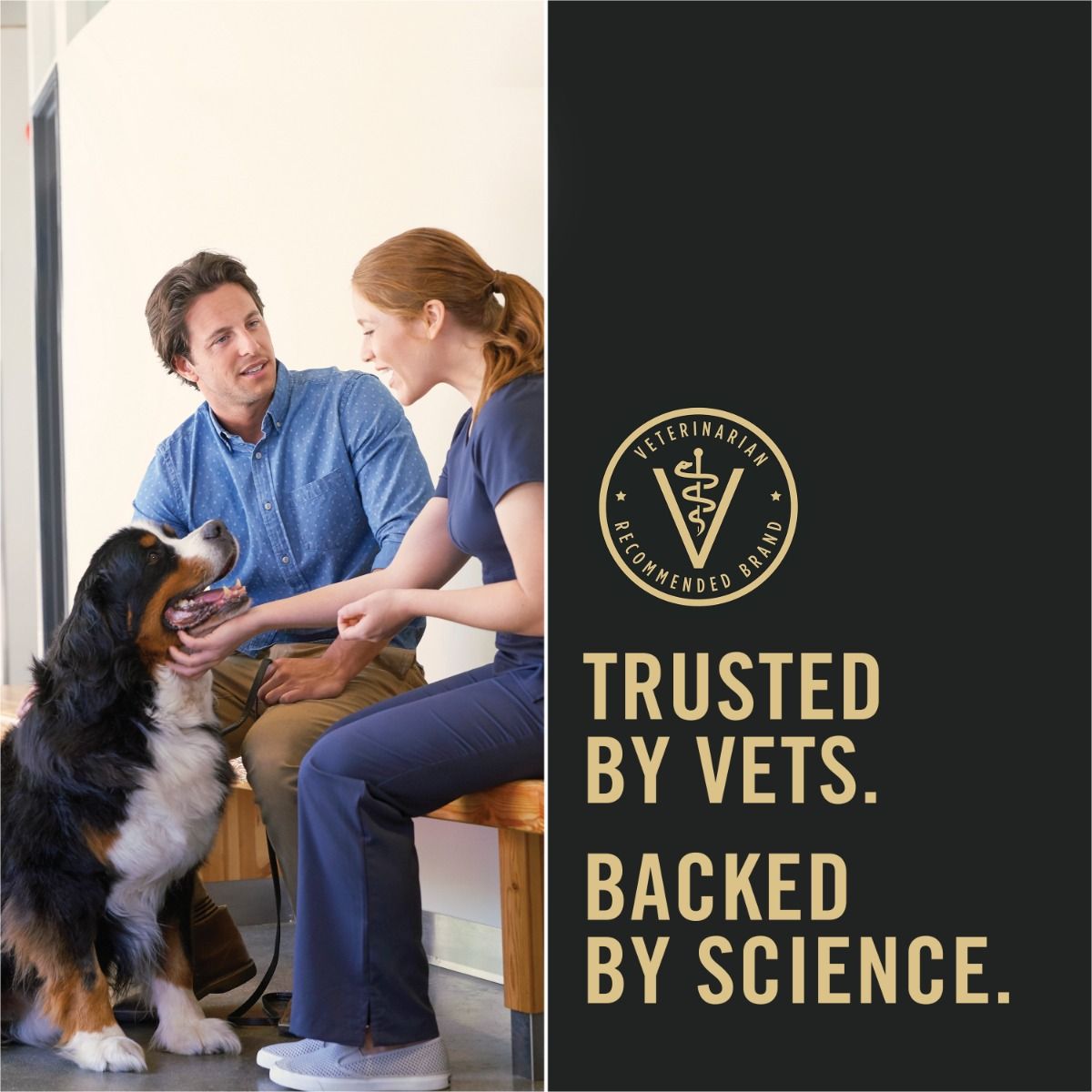 pro-plan-dog-food-trusted-by-vets_9.jpg