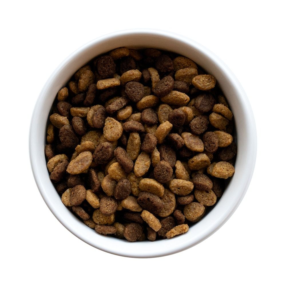 pro-plan-liveclear-allergen-reducing-adult-dry-cat-food-bowl.jpg