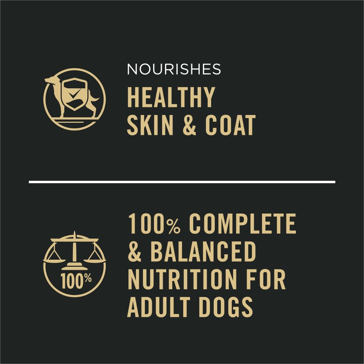 purina-pro-plan-complete-essentials-beef-vegtables-wet-dog-food-complete-nutrition.jpg